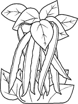 Desenho de Ervilhas e Folhas para Colorir