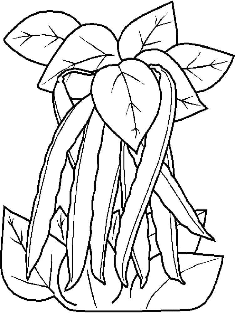 Desenho de Ervilhas e Folhas para Colorir