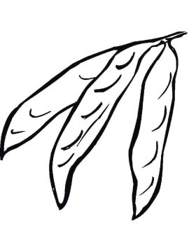 Desenho de Ervilhas Fechadas para Colorir