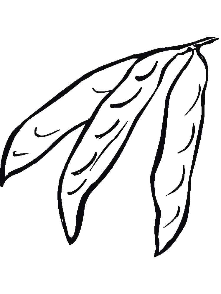 Desenho de Ervilhas Fechadas para Colorir