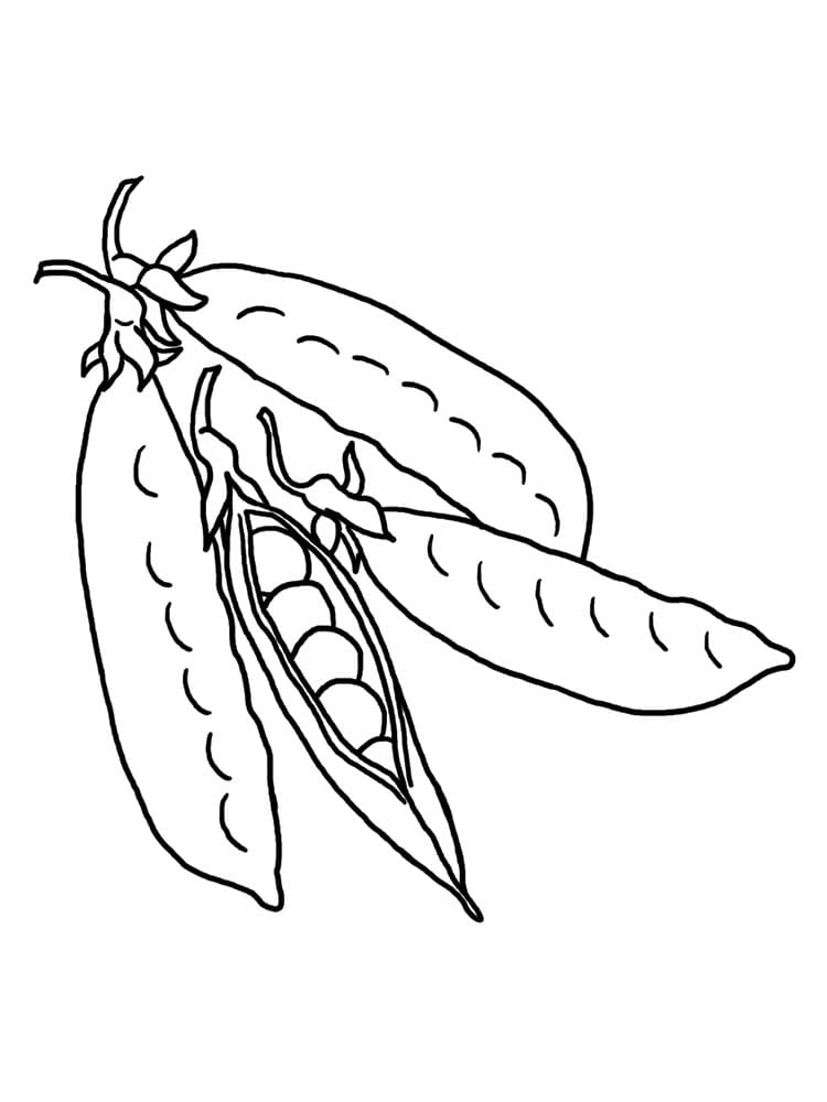 Desenho de Ervilhas Fresquinhas para Colorir