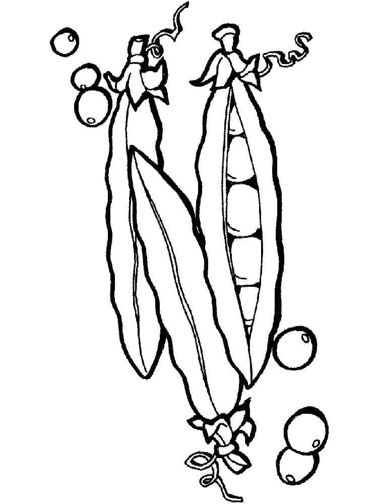 Desenho de Ervilhas na Vagem para Colorir