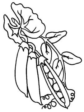 Desenho de Muitas Ervilhas para Colorir