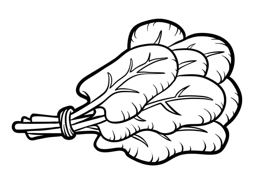 Desenho de Espinafre Bonito para Colorir Pdf