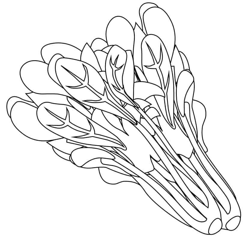 Desenho de Espinafre com Legumes para Colorir