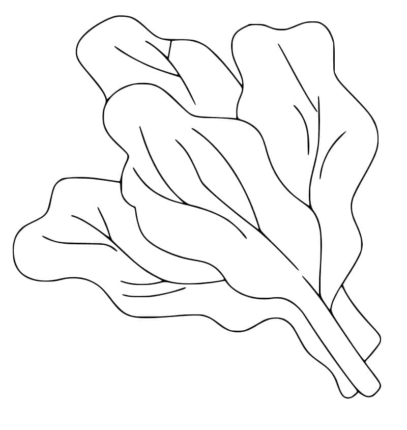 Desenho de Espinafre em Cesta para Pintar Giz de Cera