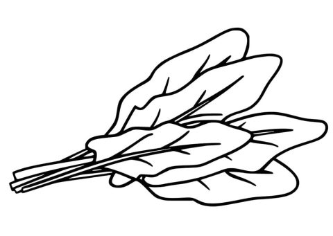 Desenho de Espinafre engraçado Imprimível Download