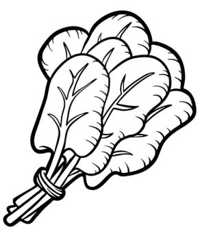 Desenho de Espinafre Fofo para Colorir Pdf