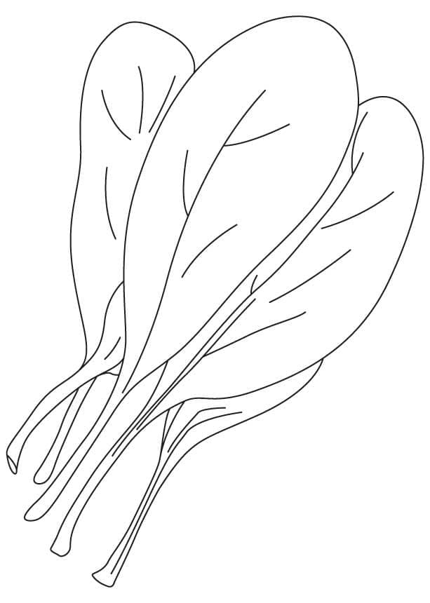 Desenho de Espinafre Infantil para Imprimir