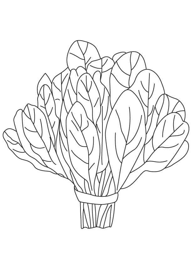 Desenho de Espinafre na Horta para Imprimir