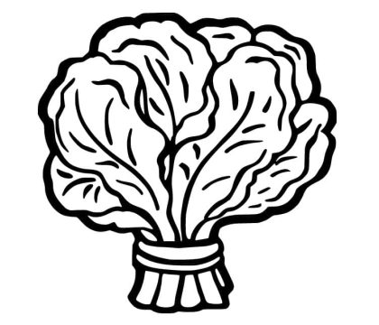 Desenho de Espinafre para Colorir Pdf