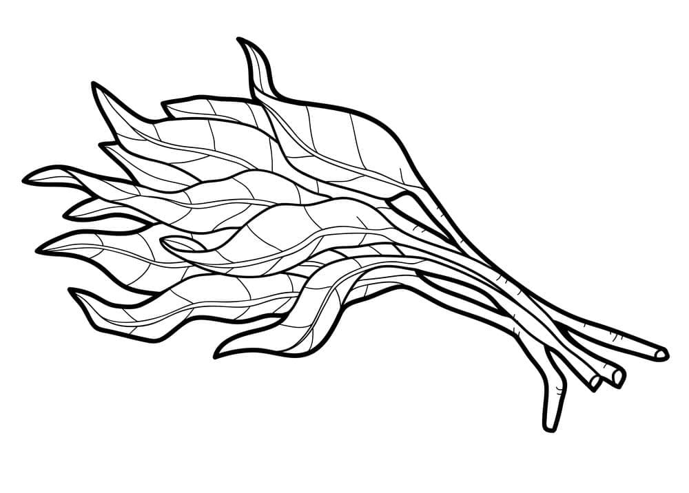 Desenho de Espinafre para Pintar Giz de Cera