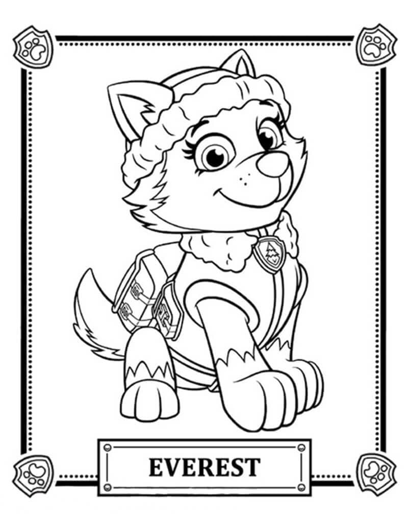 Desenho de Everest Está Sorrindo para Colorir