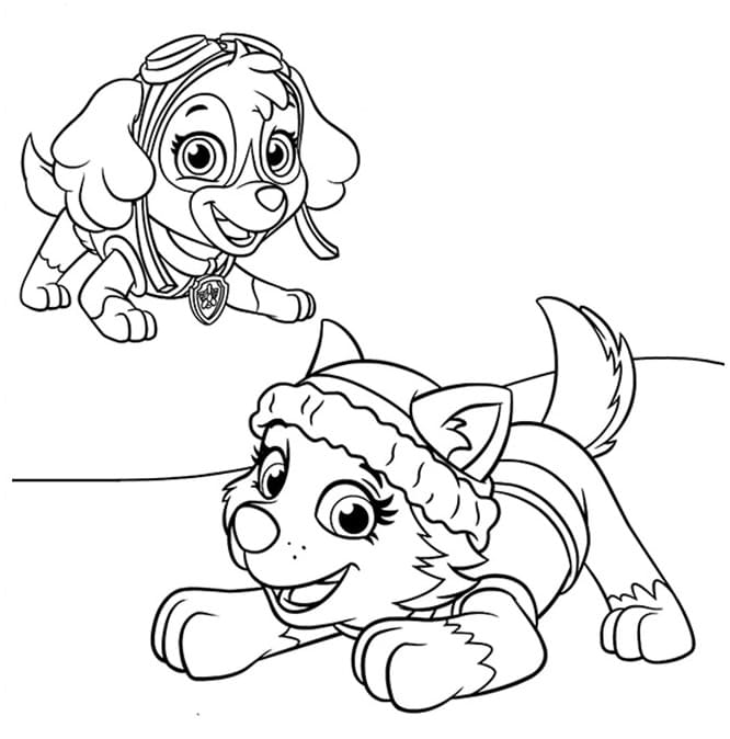 Desenho de Skye e Everest para Colorir