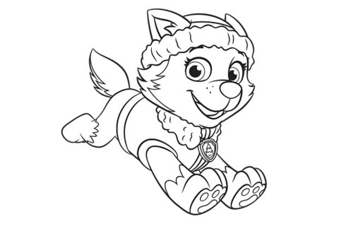 Desenho Everest de Patrulha Canina para Colorir