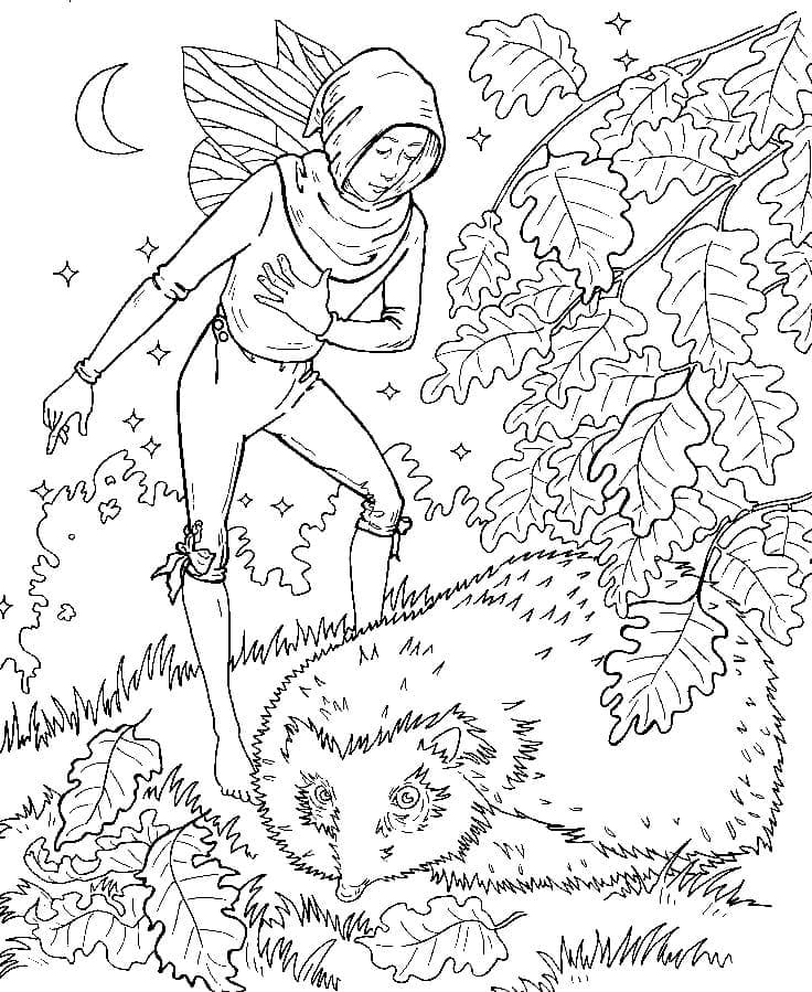 Desenho de Fada e Ouriço para Colorir