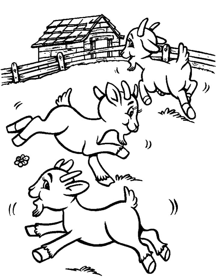 Desenho Cabras para Colorir