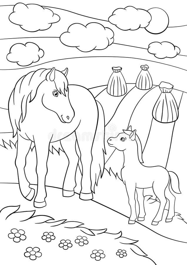 Desenho Cavalinho para Colorir