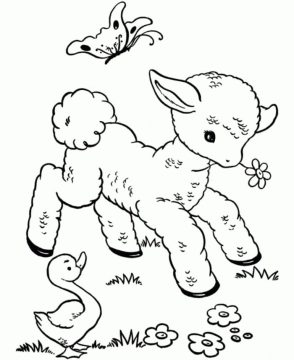 Desenho de Ovelhinha na Fazendinha para Colorir