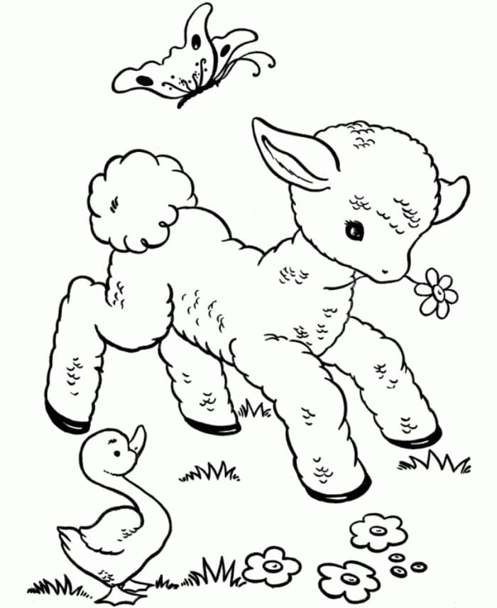 Desenho de Ovelhinha na Fazendinha para Colorir