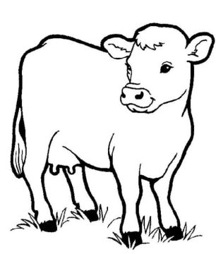 Desenho de Vaquinha na Fazendinha para Colorir