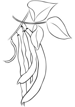 Desenho feijões para Colorir