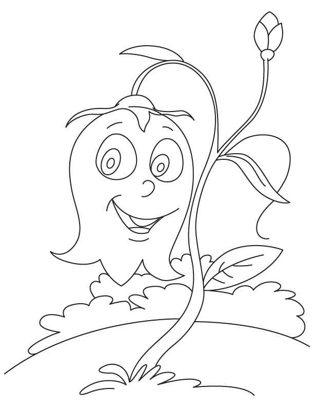 Desenho de Campânula Download Pdf para Colorir