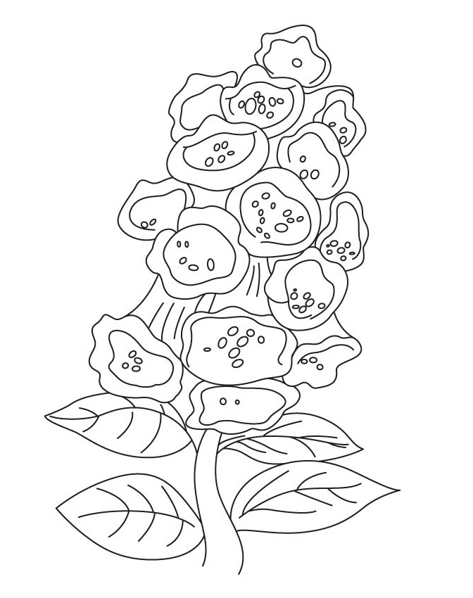 Desenho de Campânula para Imprimir Pdf Grátis