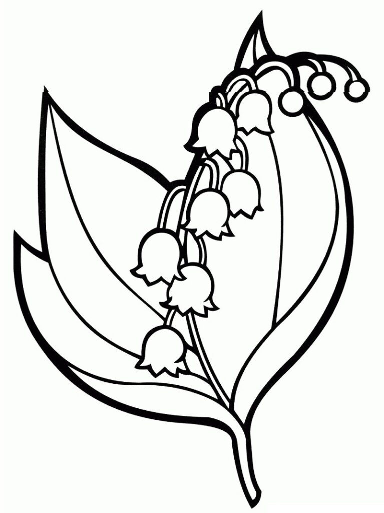 Desenho de Campânula para Pintar Pdf Grátis
