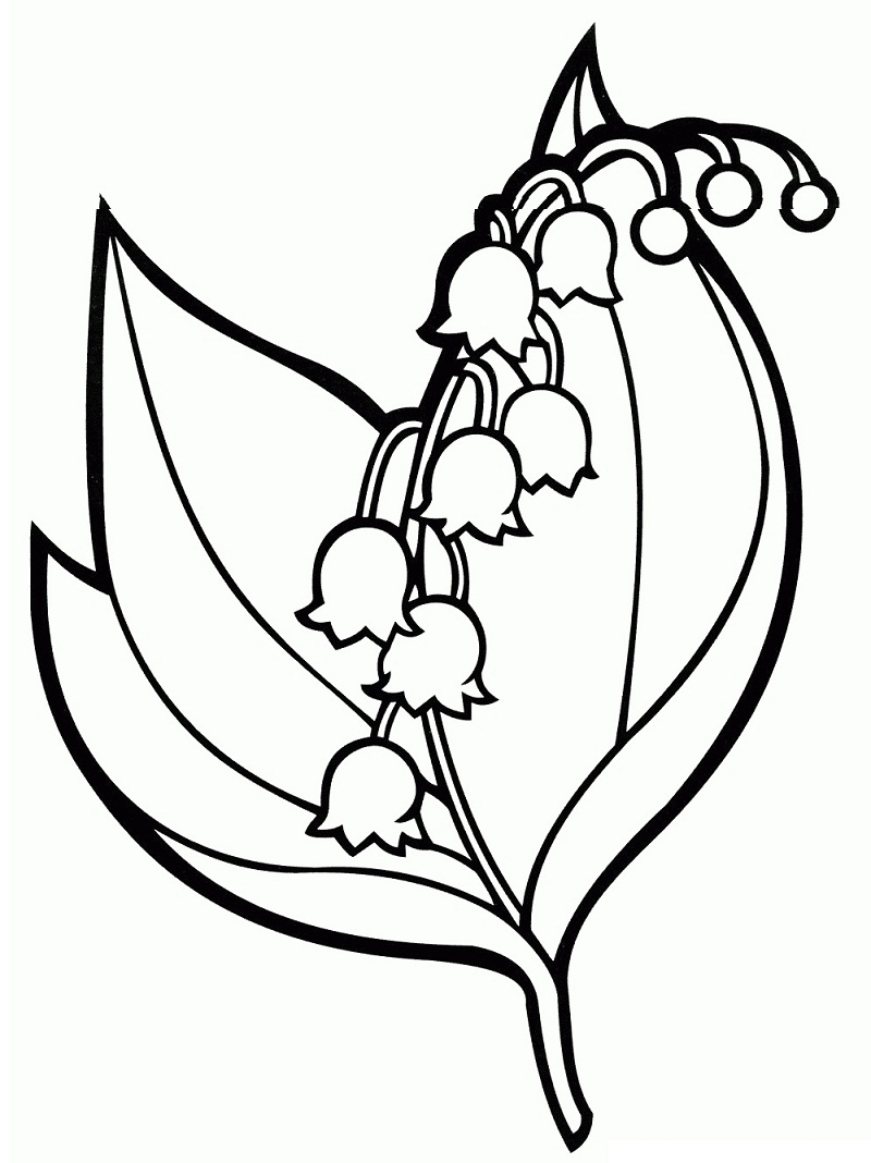 Desenho de Campânula para Pintar Pdf Grátis