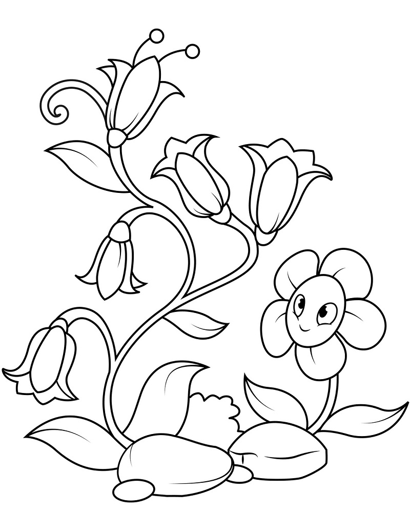 Desenho de Flor Campânula Download para Colorir