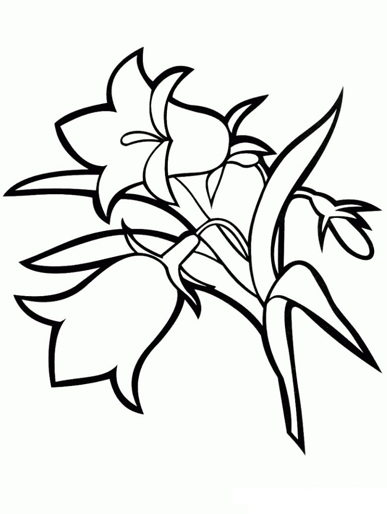 Desenho de Flor Campânula para Colorir Imprimivel