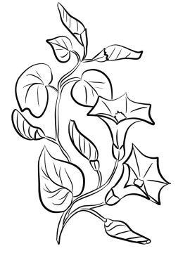 Desenho de Flor campânula para Colorir Pdf grátis