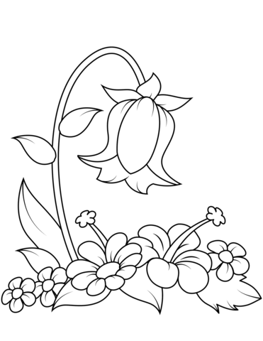 Desenho de Flor Campânula Pdf para Colorir