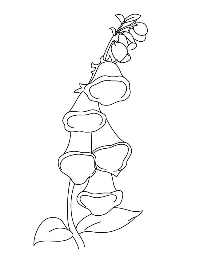 Desenho de Flores de Campânula Grátis para Imprimir e Colorir