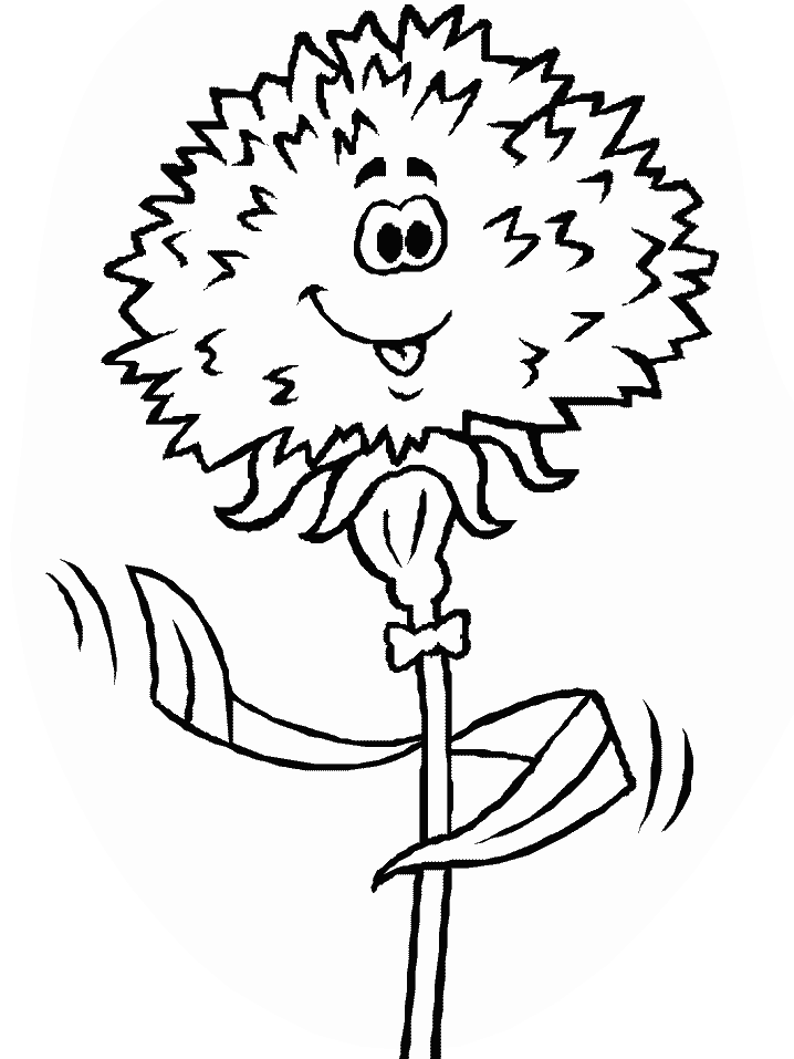 Desenhos de Carnation para Colorir