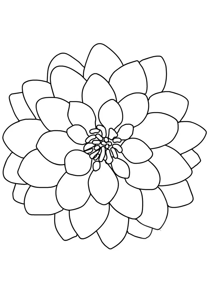 Desenho de Flor Dália com Abelha para Imprimir