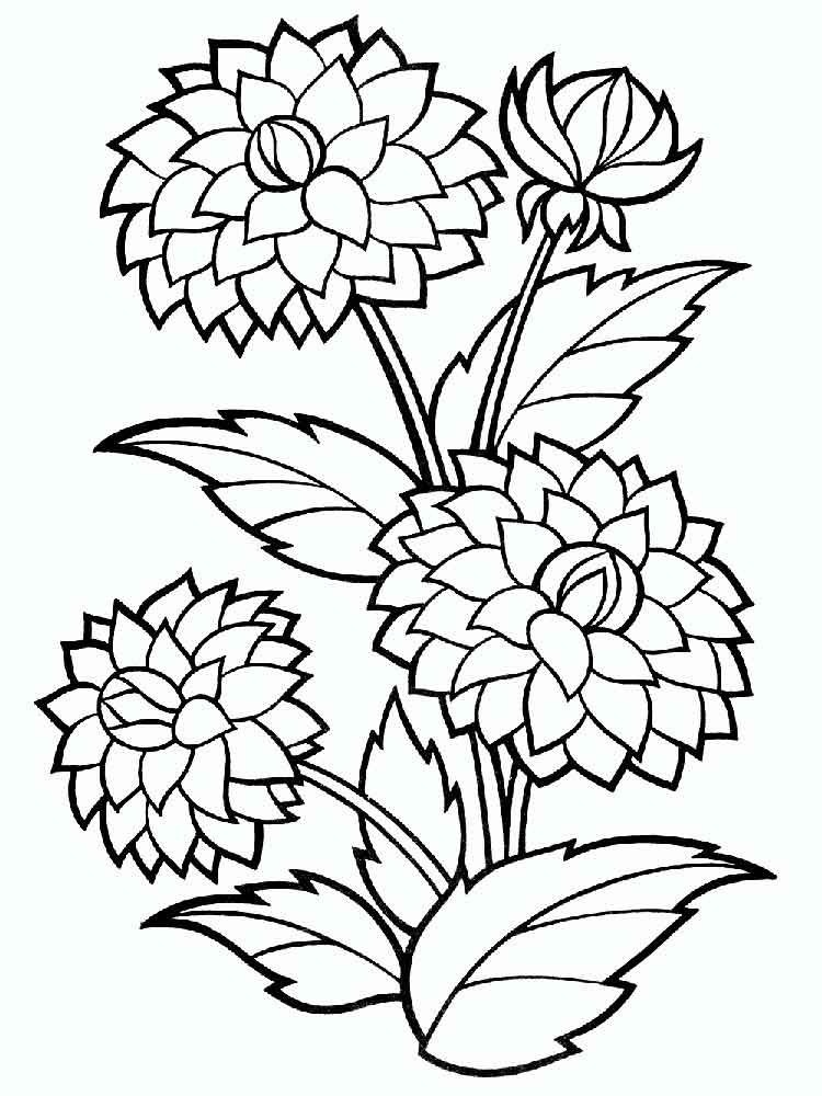 Desenho de Flor Dália com Borboleta para Colorir Pdf