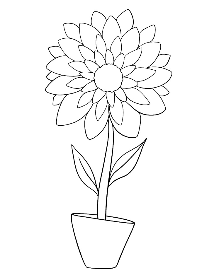Desenho de Flor Dália em Vaso Imprimivel Download