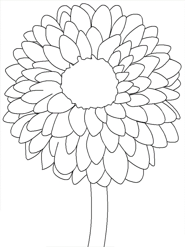 Desenho de Flor Dália Grande para Colorir Pdf