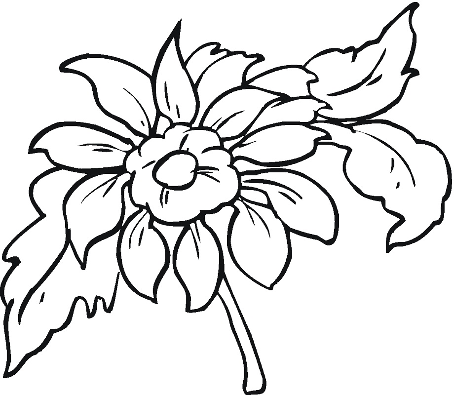 Desenho de Flor Dália Infantil para Imprimir