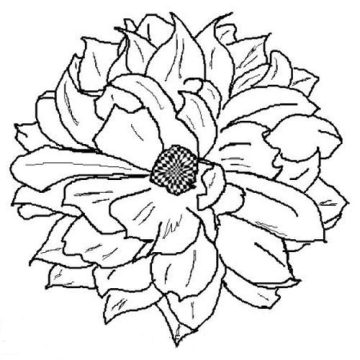 Desenho de Flor dália na Primavera para Imprimir