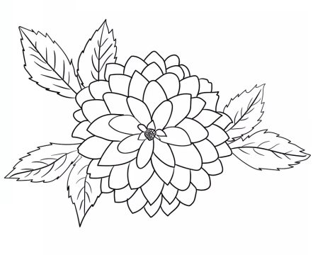 Desenho de Flor dália para Imprimir lápis de Cor