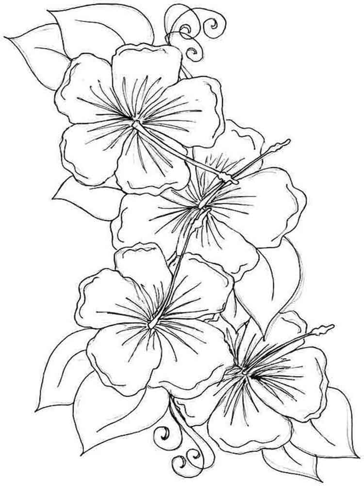Desenho de Hibisco Decorativo para Colorir
