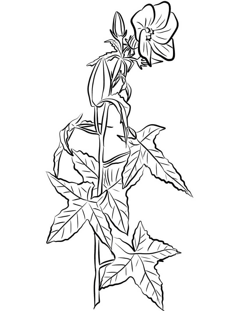 Desenho de Hibisco Grande para Colorir