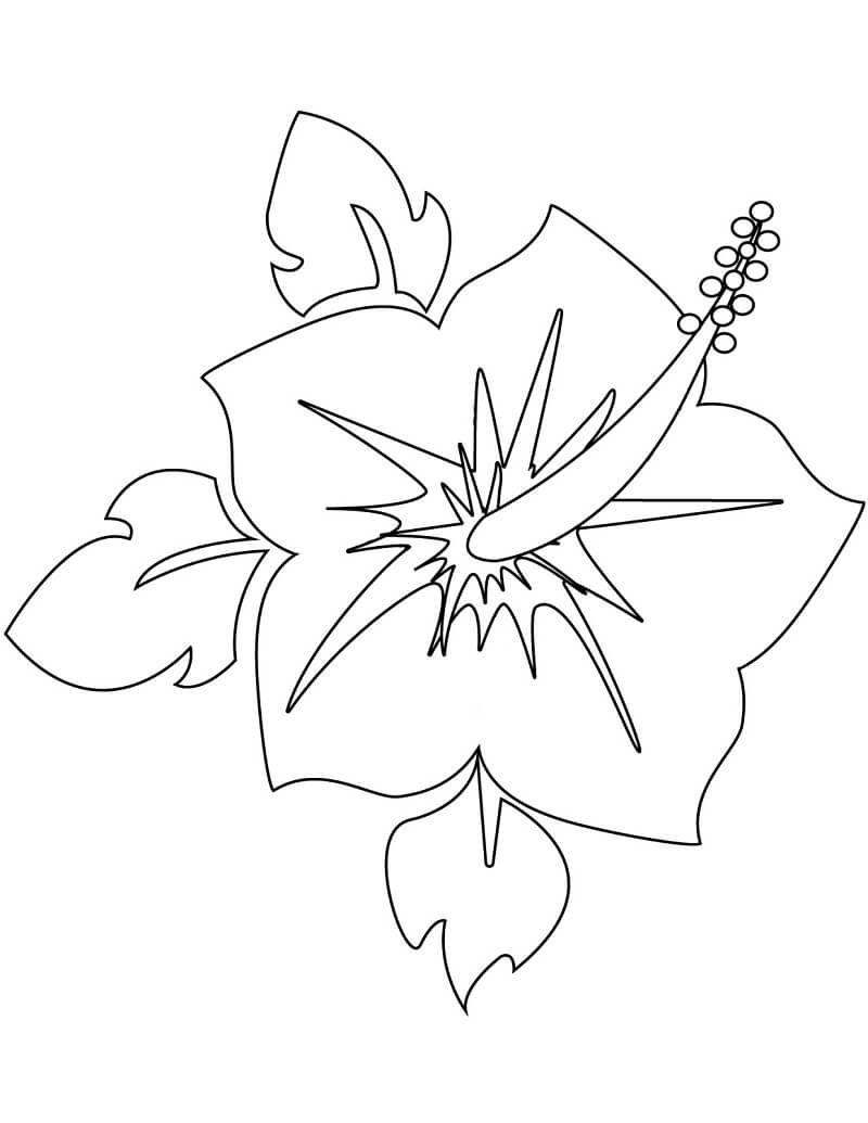 Desenho de Hibisco para Colorir Online