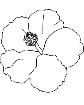 Desenho de Hibisco para Imprimir lápis de Cor