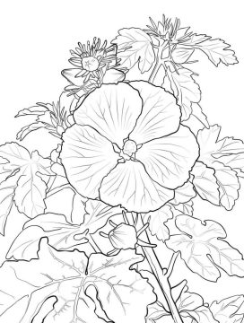 Desenho de Hibisco Pequeno para Colorir