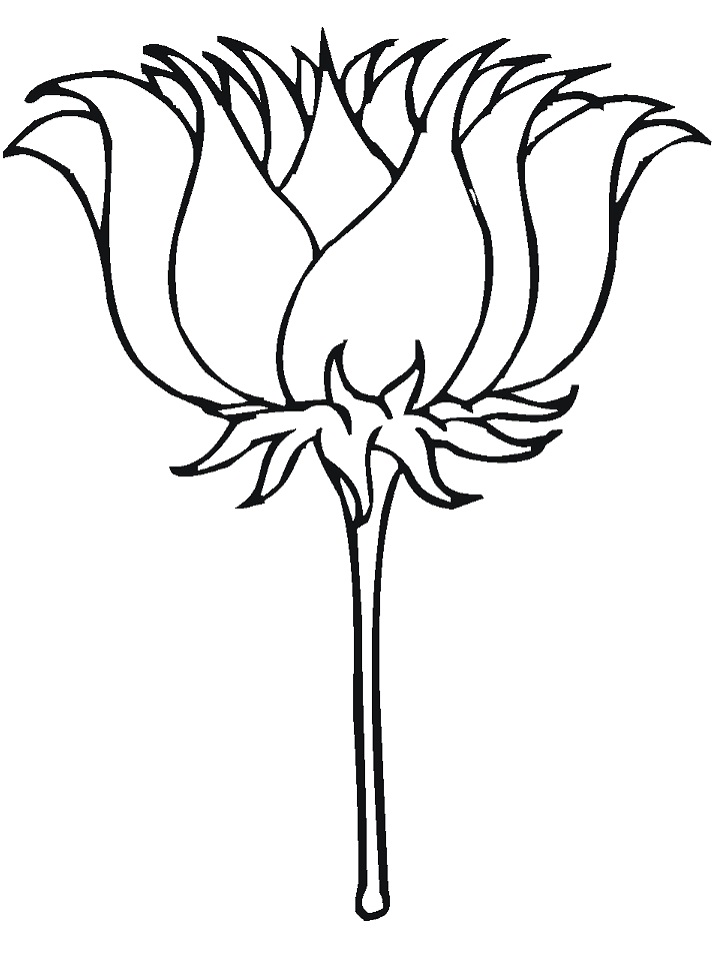 Desenho Imprimivel de Flor de Lótus para Colorir de Graça