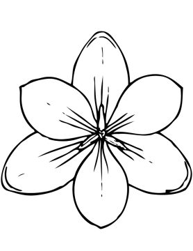 Desenho de Flor de magnólia para Colorir lápis de Cor